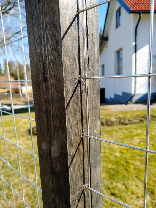 Närbild på svartlaserad tryckimpregnerad stolpe med armeringsnät för klätterrosor mot husbakgrund.