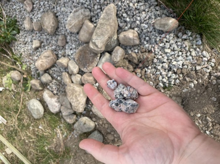 Hand som visar grusstenar med blandat grus och stenar i bakgrunden på en trädgård.