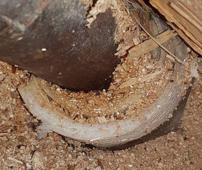 Bild på isoleringen kring ett värmesystems rör, fibröst material synligt bland sågspån under golvet.