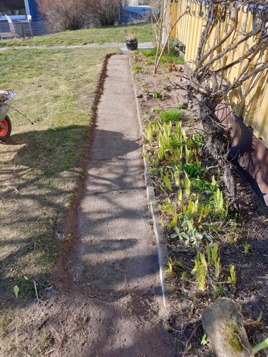 Nyligen uppgrävd stengång längs ett hus med synlig jord och sparsam vegetation.