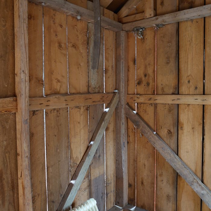 DSC_1546.JPG