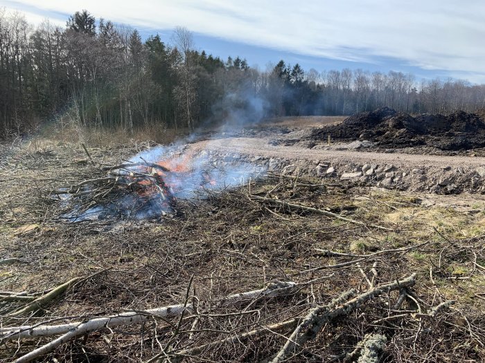 Bild på en brinnande hög med grenar utomhus med rök och skog i bakgrunden.