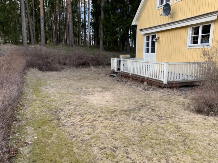 Trädäck intill ett gult hus med vita räcken och skog i bakgrunden.