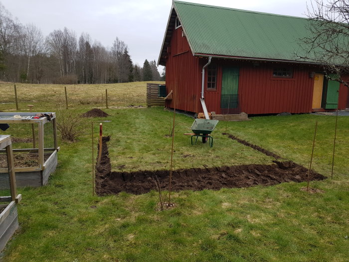 Grävt område för växthus i trädgård med skottkärra och röd stuga i bakgrunden.