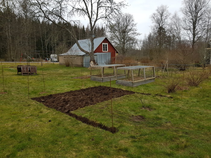 Uppschaktad mark där ett växthus ska byggas, med en befintlig växthusram och ett rött hus i bakgrunden.