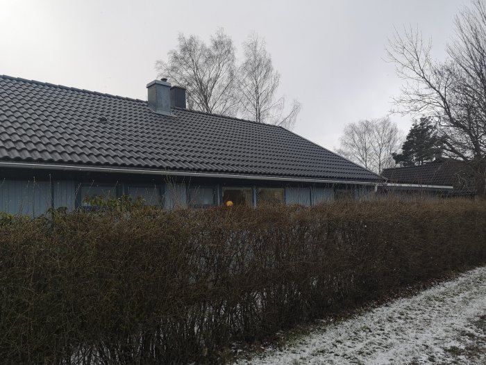 Ett enplanshus med svart taktegel och blå väggar bakom en häck, lätt snötäckt mark.