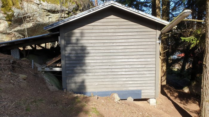 Ett litet grått skjul med träpanel i skogen, delvis undanröjda områden under och kring byggnaden syns.