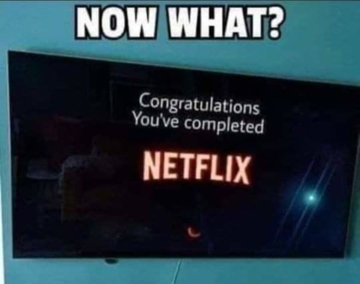 Tv-skärm som visar texten "Congratulations You've completed NETFLIX" med rubriken "NOW WHAT?".