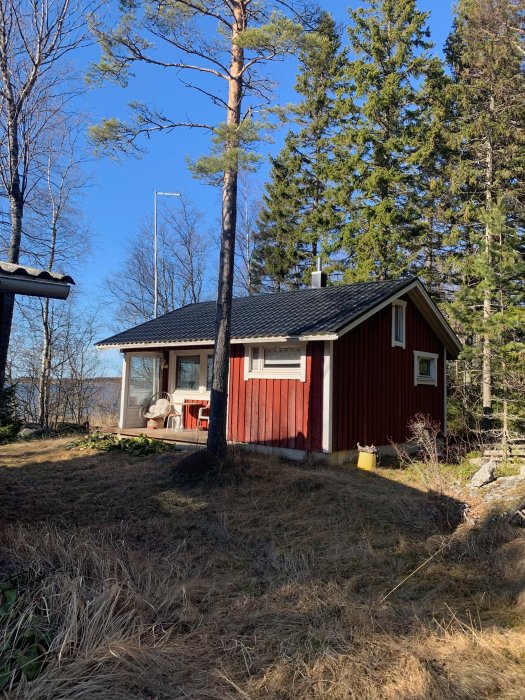 En traditionell röd sommarstuga med vita knutar, gräsmatta och träd i bakgrunden, klädd i vårskrud.