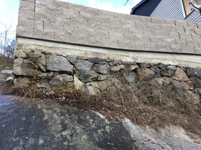 Gammel stenmur med betontop, placeret på et klippegrundlag, med tegn på løs sten og forsvundet mørtel, omgivet af vildtvoksende vegetation.