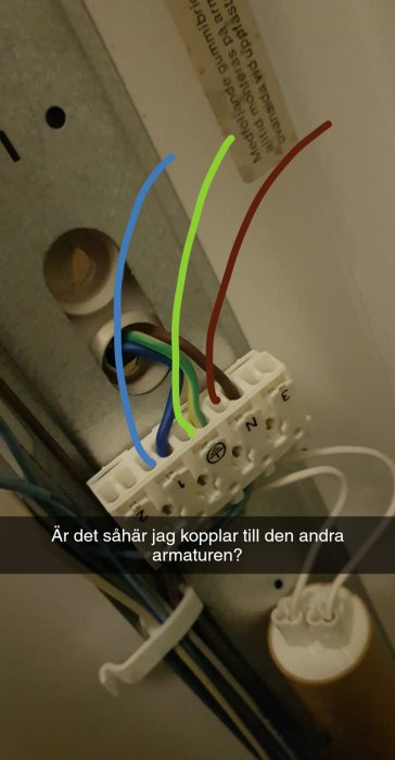 Elkopplingar i dosa med färgmarkerade kablar för att visa planerad koppling för terrariebelysning.