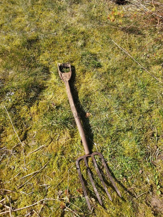 Gammal järngaffel med brutet handtag som ligger i gräset.