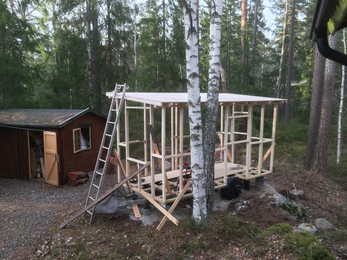 Halvfärdigt ramverk av trä för en konstruktion i skogsmiljö, under uppbyggnad med reglar, takstolar och påbörjat tak.
