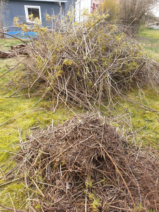 Två högar av kvistar och grenar på en gräsmatta framför ett hus, efter trädgårdsarbete.