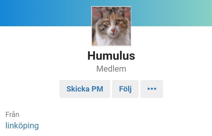 Profilbild på en flerfärgad katt, medlemensnamn Humulus och texten "Från Linköping" under.