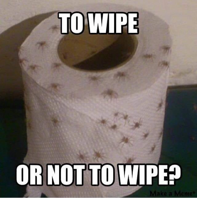 Toalettpappersrulle med små spindlar på, med texten "TO WIPE OR NOT TO WIPE?