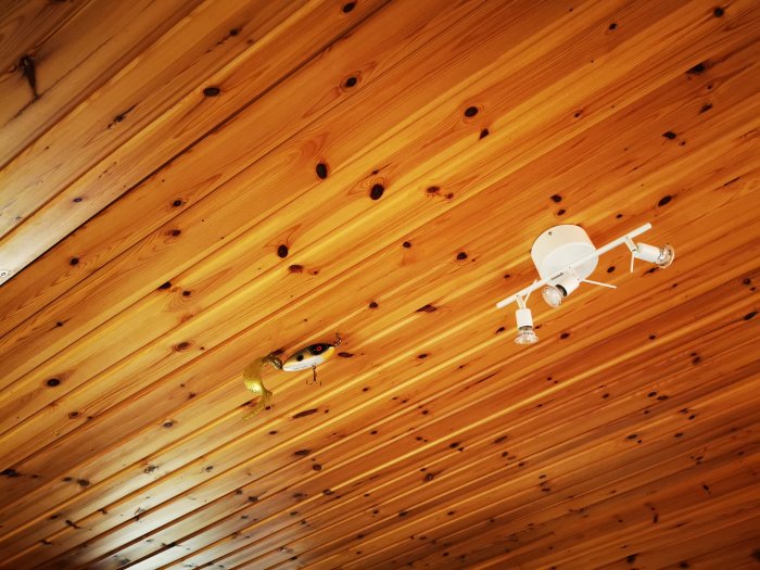 Klassisk träpanel i taket med infälld belysning och takfläkt, möjlig orsak till låg luftfuktighet.