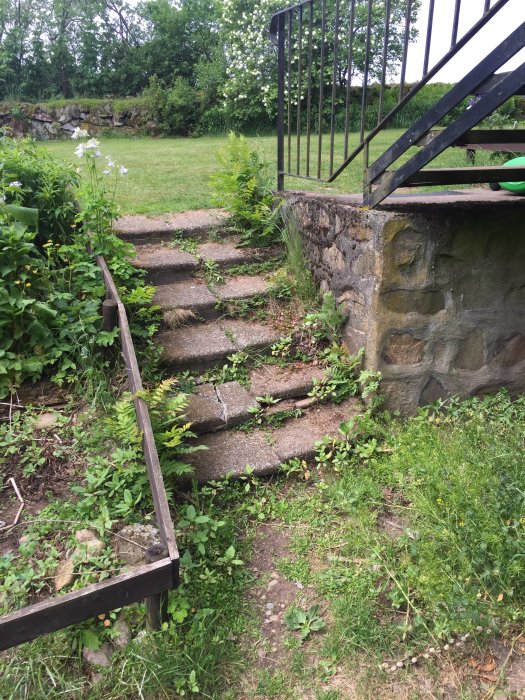 Renoverad stentrappa med nya trappsteg längs en gräsmatta och växtlighet.