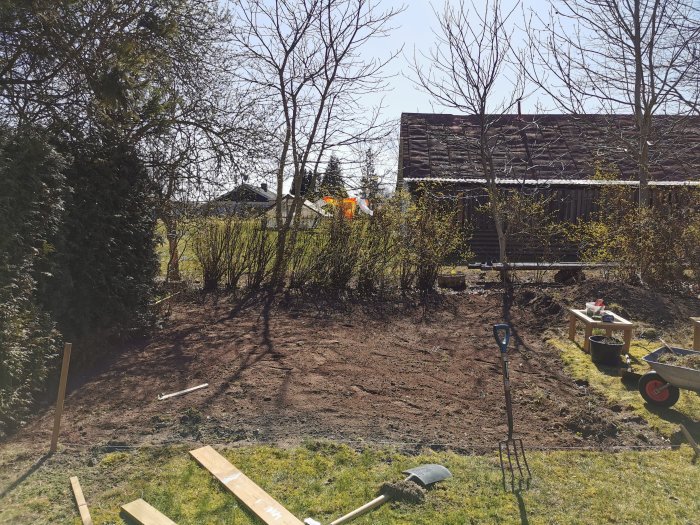 En uppriven gräsmatta med trädgårdsverktyg, i förberedelse för odlingshörna och trädäck.