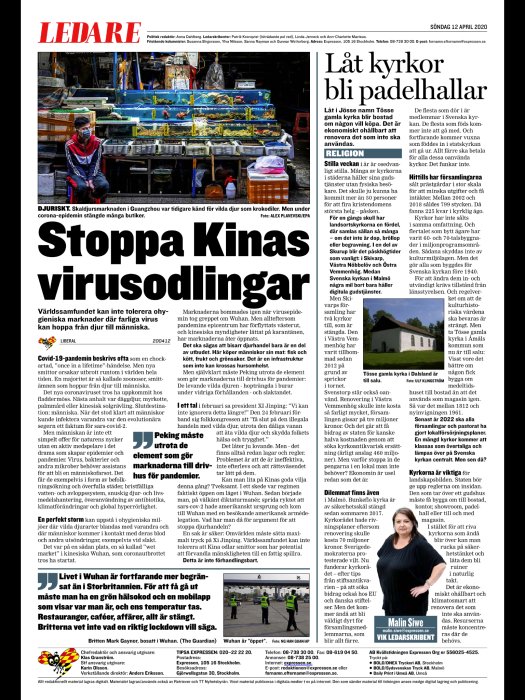 Tidningssida med en stor rubrik "Stoppa Kinas virusodlingar" och en mindre "Låt kyrkor bli padelhallar", innehåller flera artiklar och bilder.