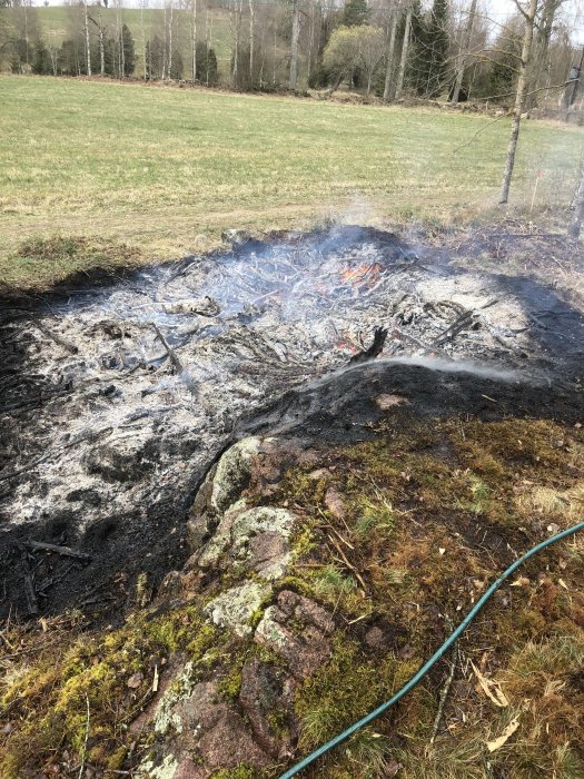 Rester av en påskeld med aska och glöd på en öppen yta nära mossig sten och grönt gräs.