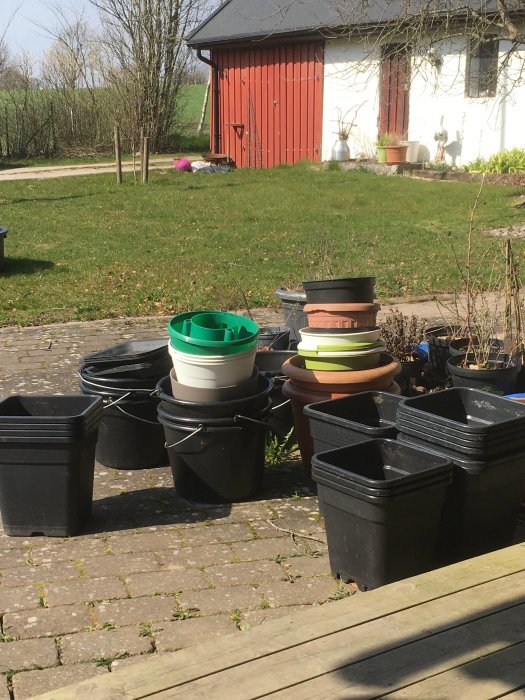 Rengjorda planteringskrukor och hinkar på en solig altan med röd lada i bakgrunden.