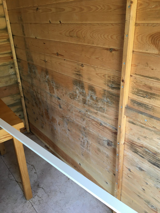 Mögelangrepp på trävägg i verktygsbod, med tydliga mörka fläckar på det ljusa träet.