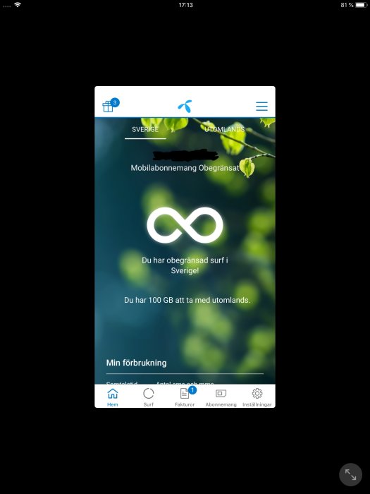 Skärmdump av mobilt abonnemang med obegränsad surf i Sverige och 100 GB för utlandet.
