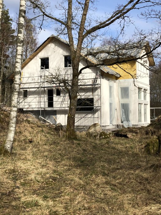 Hus under renovering med delvis påspikade vita panelbrädor och en gul grundad del på norrfasaden bland träd.