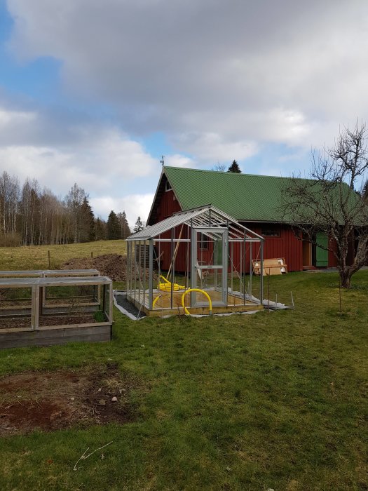 Grund och stomme av ett växthus i metall, utan glas, på en gräsmatta bredvid en röd ladugård och en trädgårdsbädd.