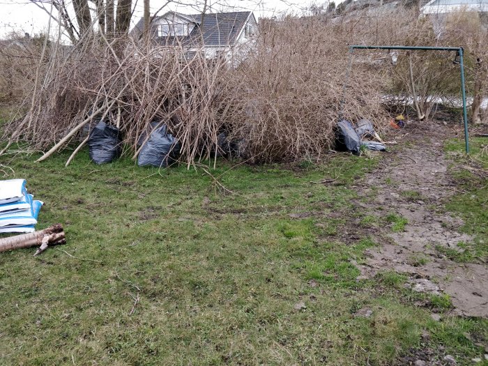 Trädgård med grenhög och svarta sopsäckar vid häck, samt tom gunga på gräsmatta.