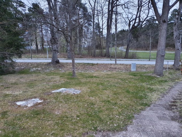 En sluttande trädgårdstomt med några träd och en gångväg, avsedd för staketbygge.