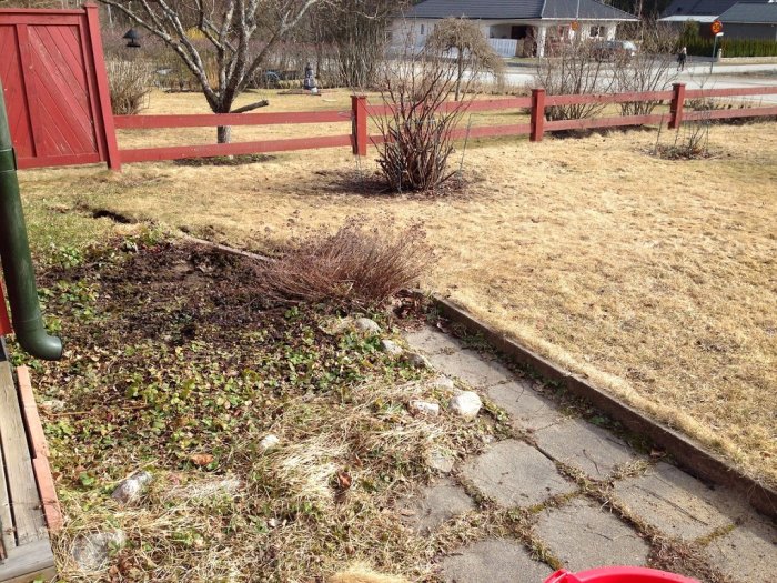 Renoverad trädgård med borttagen vegetation och brun gräsmatta, stenplattor längs kanterna.