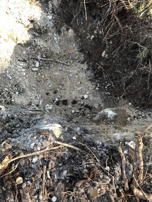 Provgrävning av mark med blandad jord, stenar och rötter som potentiell bygggrund för offertbedömning.