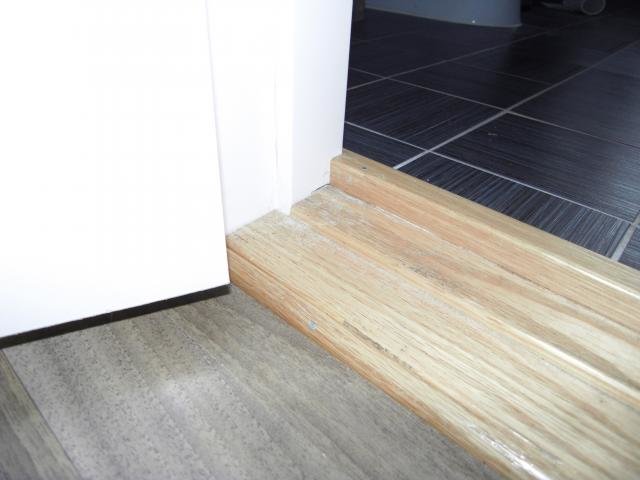 SDC10215.jpg