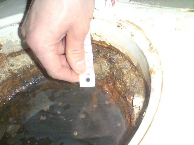 DSC01408.jpg