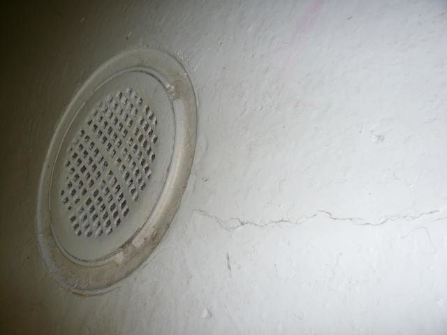 P1040784.jpg