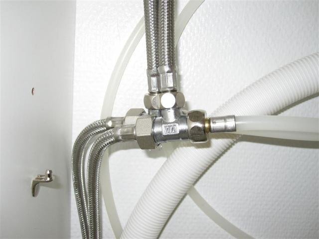 IMG_1496 (Medium).jpg