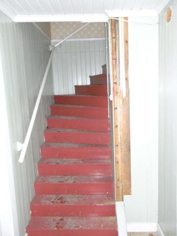 RIMG0095.jpg