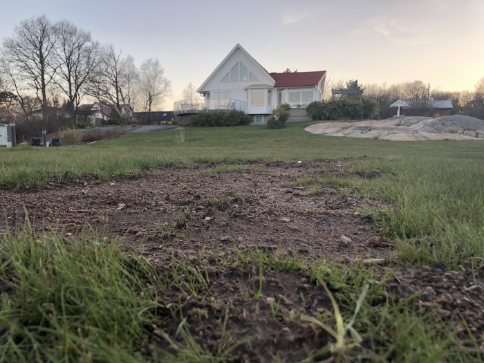 En nysådd gräsmatta med några gröna skott på en gård, med ett vitt hus och berg i bakgrunden.