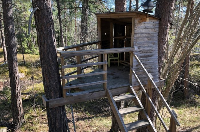 Träkoja byggd mellan tallar med trappa och veranda i skogsmiljö.