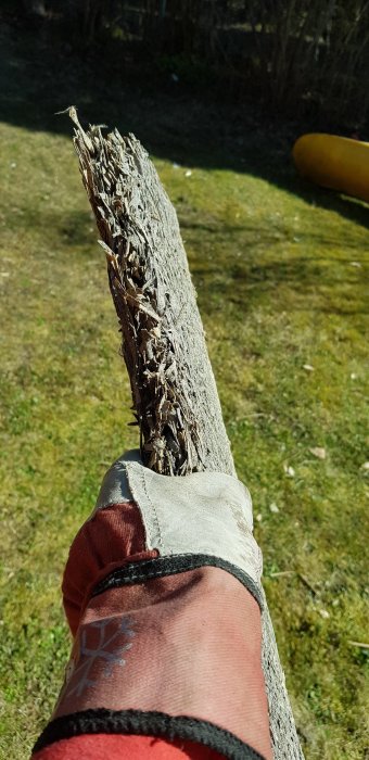 En hand med skyddshandske håller en gammal, spröd fiberplatta med flisiga kanter i solljus utomhus.