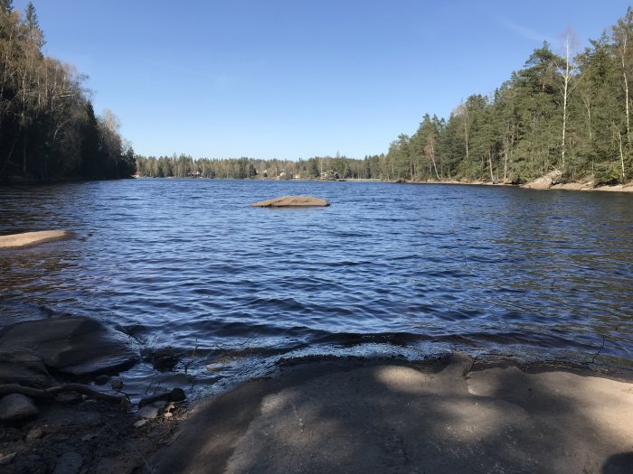 Skogssjön omgiven av träd med stenig strand, idyllisk plats för karantän deluxe.