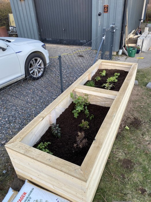 Hemgjord odlingslåda av trä med jord och några gröna växter, placerad på en grusdriveway.