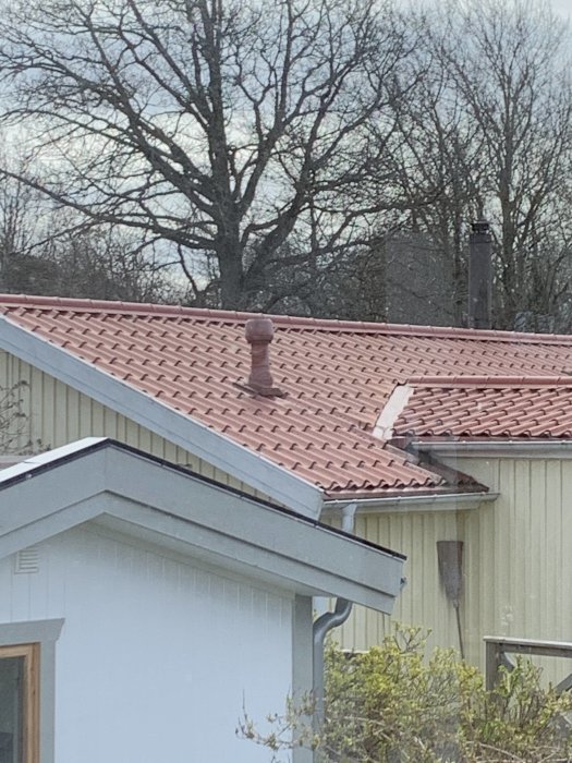 Rödbrunt plåttak på hus med matt yta och ventilationstrumma, omgiven av träd och annat hus i bakgrunden.