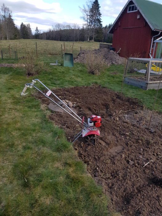 Två sammanfogade grönsaksland i vinkel med nyjordfräst mark och en röd jordfräs i förgrunden.