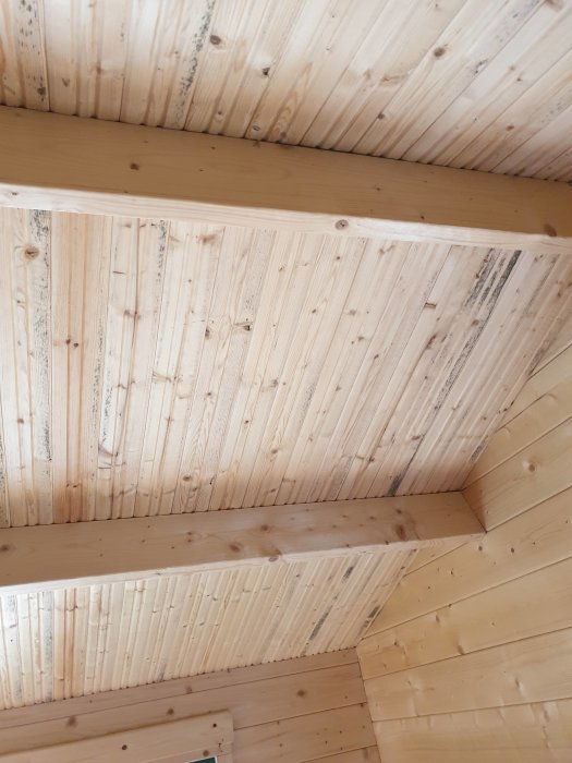 Trätak i förråd med synlig mögelbildning och svarta fläckar, indikation på fuktskador eller dålig ventilation.