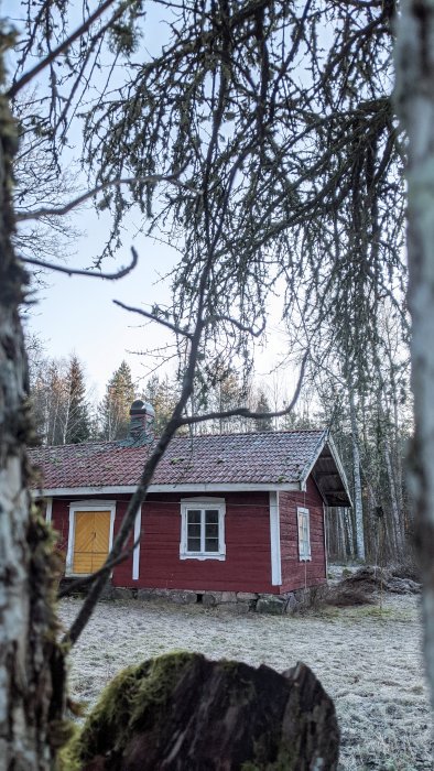 Ett rött torp från 1819 med plastfärg på fasaden, sett genom trädgrenar, planerat för ommålning.