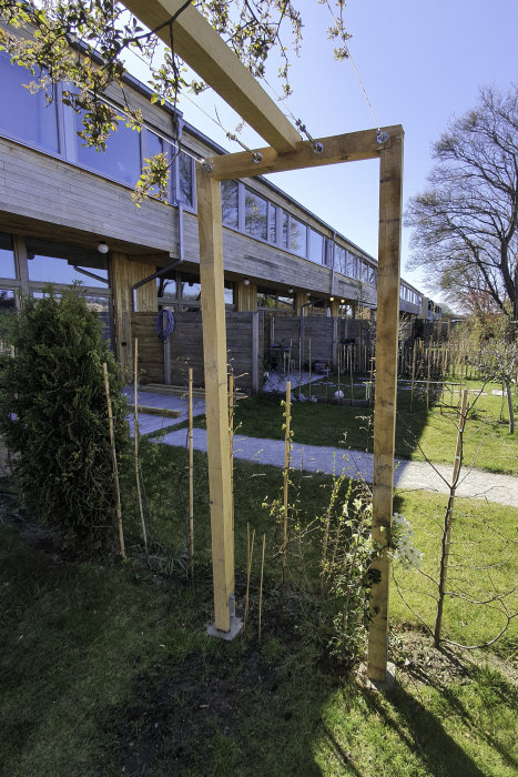 En nybyggd pergola av ek med stålvajrar i en trädgård framför ett modernt hus.