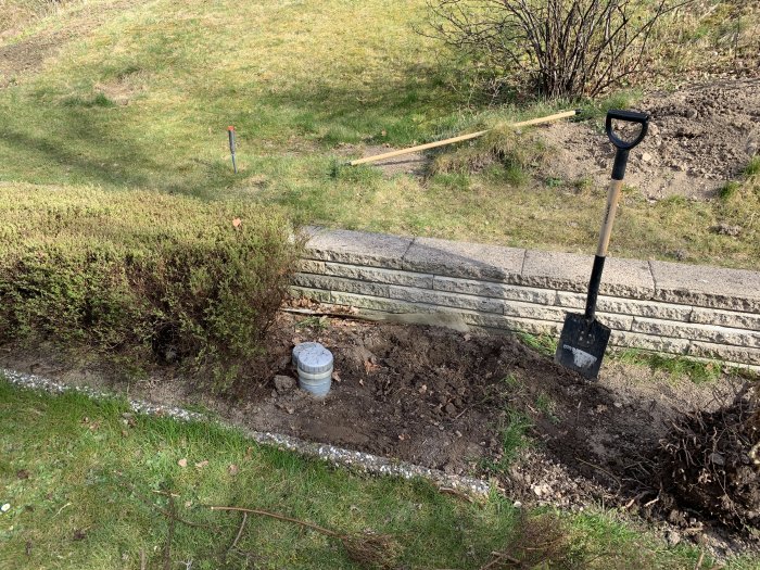 Ett trädgårdsprojekt med en spade, uppgrävd mark och en etablerad gräsmatta i bakgrunden.